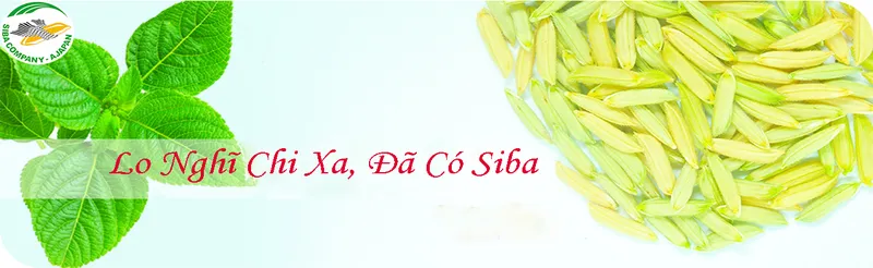 Sản phẩm 3983704591538080 — Công Ty TNHH Si Ba — MST 0304325497