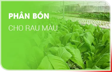Sản phẩm 4 8580 — Công Ty TNHH Si Ba — MST 0304325497