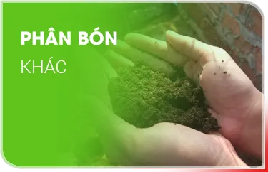 Sản phẩm 6 1730 — Công Ty TNHH Si Ba — MST 0304325497