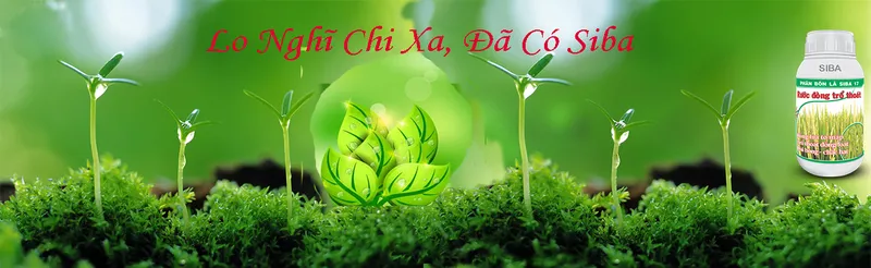 Sản phẩm 895656504891611 — Công Ty TNHH Si Ba — MST 0304325497