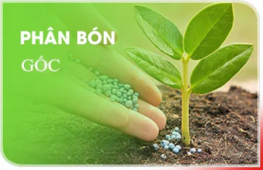 Sản phẩm g 7364 — Công Ty TNHH Si Ba — MST 0304325497