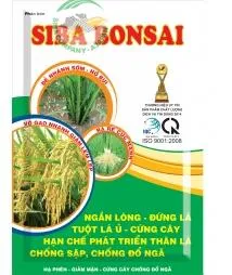 Sản phẩm siba bonsai 6708_192.47249928755x254 — Công Ty TNHH Si Ba — MST 0304325497