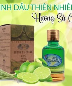 Sản phẩm SaChanh 247x296 — Công Ty TNHH Đầu Tư Và Xuất Nhập Khẩu Thu Hiên — MST 0304360526