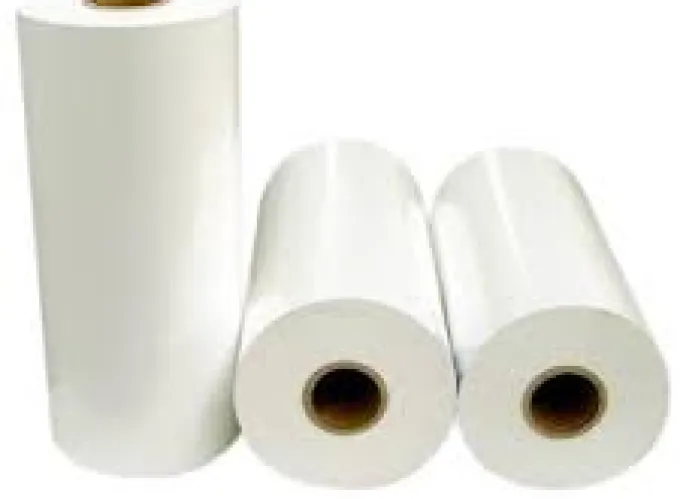 Sản phẩm can mang bong mang mo sau in 1731855500 — Công Ty TNHH Lâm Nhật Minh — MST 0304411964