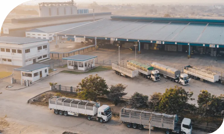 Sản phẩm about us 3 — Công Ty TNHH Một Thành Viên Sản Xuất - Thương Mại - Dịch Vụ Hành Sanh — MST 0304451903