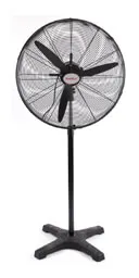 Sản phẩm more product quat CN — Công Ty TNHH Một Thành Viên Sản Xuất - Thương Mại - Dịch Vụ Hành Sanh — MST 0304451903