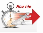 Sản phẩm dv chuyen hoa toc0986_170x130 — Công Ty TNHH Thương Mại Dịch Vụ Du Lịch Ba Sáu Năm Ngày — MST 0304471593