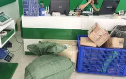 Sản phẩm photo1536283585376 15362835853761288629901 — Công Ty TNHH Thương Mại Dịch Vụ Du Lịch Ba Sáu Năm Ngày — MST 0304471593