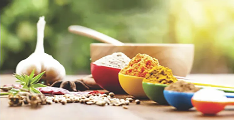 Sản phẩm Seasoning — Công Ty TNHH Hướng Đi — MST 0304548905