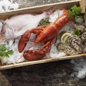 Sản phẩm lobster_fish_mussels_ice_seafood_box_6334_1920x1080 300x300 — Công Ty TNHH Thương Mại Dịch Vụ Đại Hoàn Cầu — MST 0304592686