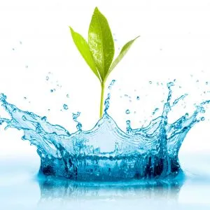 Sản phẩm water growth 300x300 — Công Ty TNHH Thương Mại Dịch Vụ Đại Hoàn Cầu — MST 0304592686
