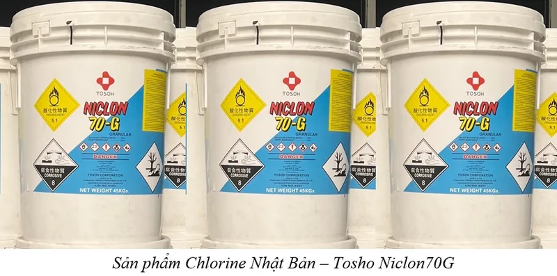 Sản phẩm Chlorine niclon 70g — Công Ty TNHH Thương Mại Dịch Vụ Đại Hoàn Cầu — MST 0304592686