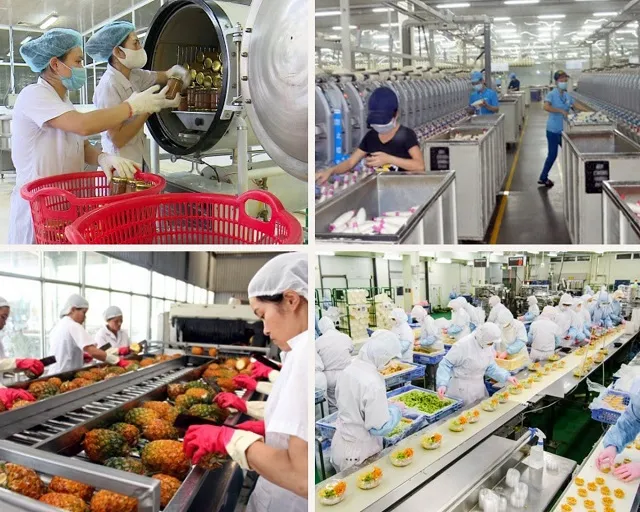 Sản phẩm cac san pham cua nganh cong nghiep thuc pham — Công Ty TNHH Thương Mại Dịch Vụ Đại Hoàn Cầu — MST 0304592686