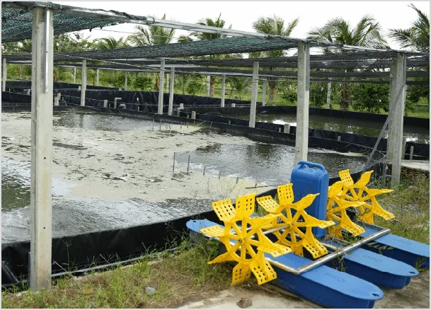 Sản phẩm CauChuyen4 — Công Ty TNHH Tiền Hậu — MST 0304650539