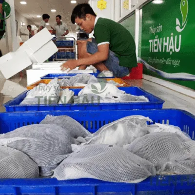 Sản phẩm Asset 109@2x 8 2 400x400 — Công Ty TNHH Tiền Hậu — MST 0304650539