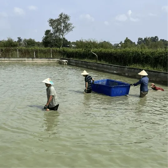 Sản phẩm Gallery6 — Công Ty TNHH Tiền Hậu — MST 0304650539