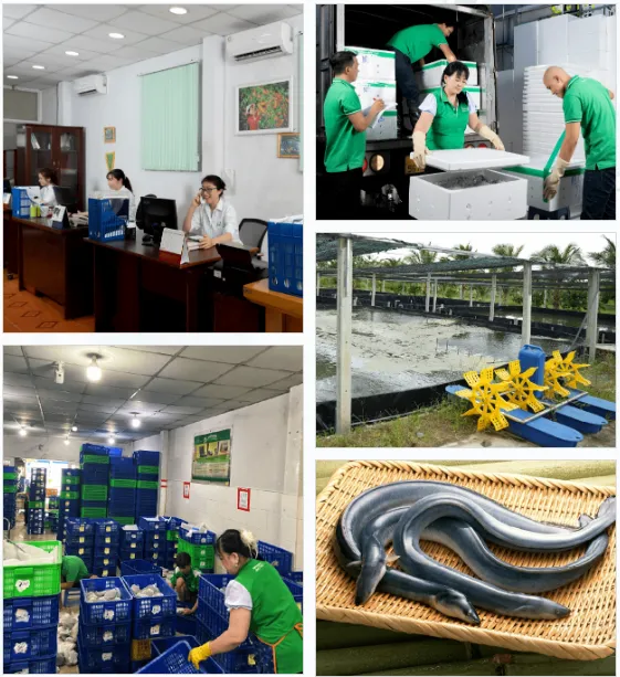 Sản phẩm Capture111111 — Công Ty TNHH Tiền Hậu — MST 0304650539