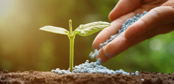 Sản phẩm fertilizer — Văn Phòng Đại Diện Sofeene Enterprises Tại Thành Phố Hồ Chí Minh — MST 0304665655