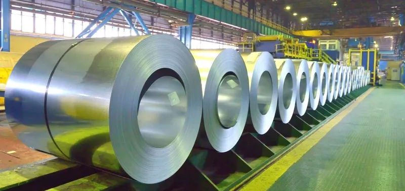 Sản phẩm 5 — Văn Phòng Đại Diện Sofeene Enterprises Tại Thành Phố Hồ Chí Minh — MST 0304665655