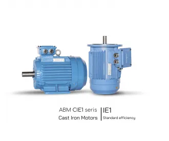 Sản phẩm Dong co dien ABM CIE1 seris cast iron motors 330x275 — Công Ty TNHH Kỹ Thuật Hải Âu — MST 0304672878