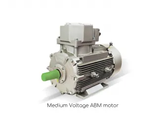 Sản phẩm Dong co trung ap Medium Voltage ABM motor  330x275 — Công Ty TNHH Kỹ Thuật Hải Âu — MST 0304672878