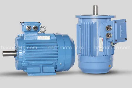 Sản phẩm Motor ABM 450x300 — Công Ty TNHH Kỹ Thuật Hải Âu — MST 0304672878