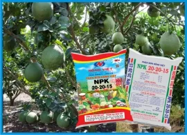 Sản phẩm d3b3799d6611d677944f5f86a500beb3_S — Công Ty TNHH Sản Xuất - Thương Mại Nông Việt — MST 0304716878