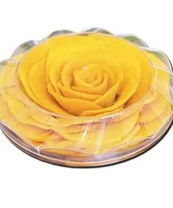 Sản phẩm xoai say deo xep hoa 247x296 — Công Ty TNHH Y Dược Thực Phẩm Việt Nhiên — MST 0304734429