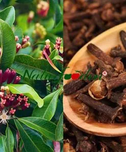 Sản phẩm dinh huong nguyen lieu 247x296 — Công Ty TNHH Y Dược Thực Phẩm Việt Nhiên — MST 0304734429