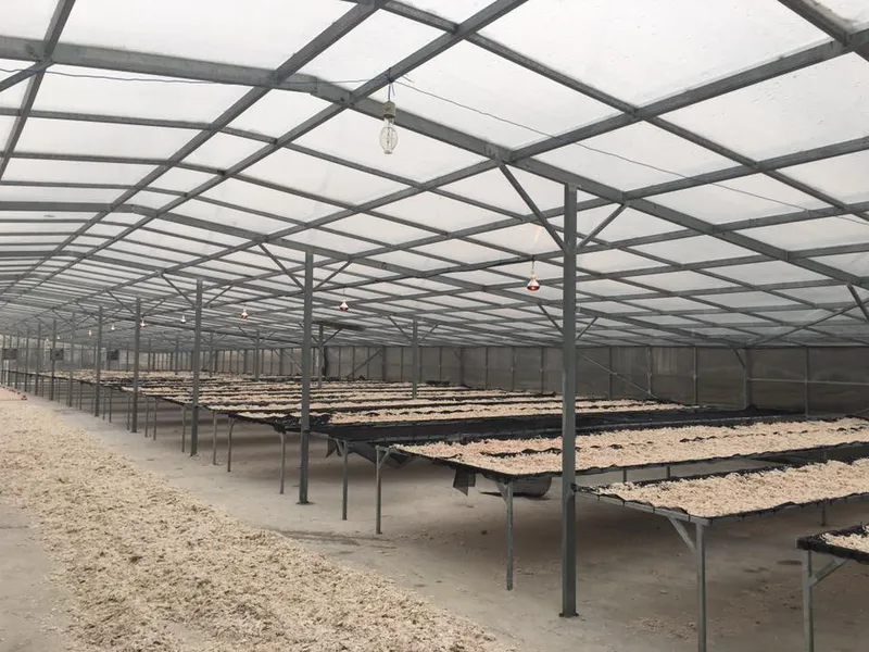 Sản phẩm 1 _nha_say_nlmt_2 — Công Ty Cổ Phần Năng Lượng Xanh Á Châu — MST 0304744089