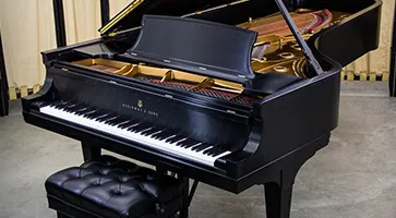 Sản phẩm piano 363x200 — Công Ty Cổ Phần Thương Mại Dịch Vụ Sản Xuất Việt Thương — MST 0304757232