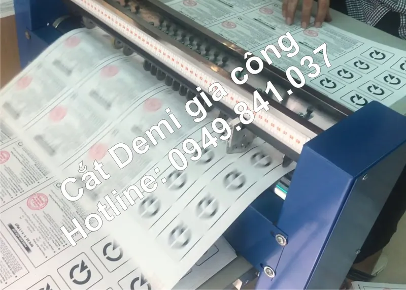 Sản phẩm Cat demi s 45935 — Công Ty TNHH In ấn - Thiết Kế Bao Bì Nhịp Sống Trẻ — MST 0304762225