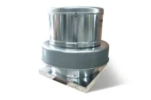 Sản phẩm roof 300x200 — Công Ty TNHH Waterline Việt Nam — MST 0304827313