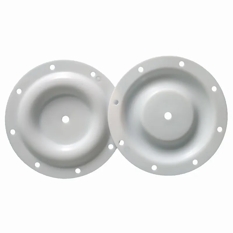 Sản phẩm Mang PTFE Backup — S15S20 PVDF body.jpg scaled — Máy Bơm Thái Khương - Công Ty TNHH Kỹ Thuật Thương Mại Thái Khương — MST 0304844502