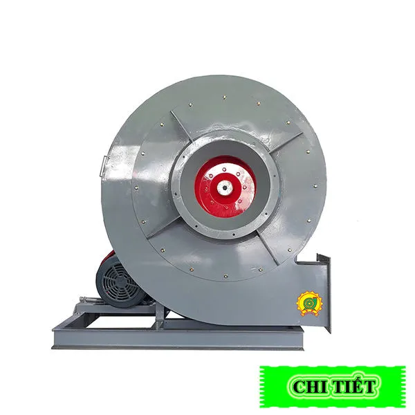 Sản phẩm nhne — Công Ty TNHH SX - TM - DV Xuất Nhập Khẩu Tân Phước Hạnh — MST 0304856811