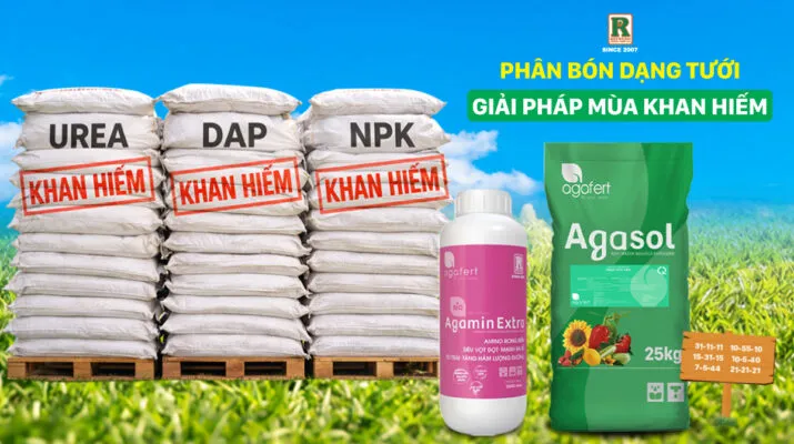 Sản phẩm Bai dang ngang 715x400 — Công Ty TNHH Sản Xuất Dịch Vụ Thương Mại Trung Hiệp Lợi — MST 0304864499