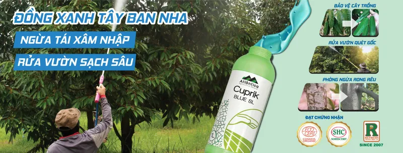 Sản phẩm Cuprick Des 1400x532 — Công Ty TNHH Sản Xuất Dịch Vụ Thương Mại Trung Hiệp Lợi — MST 0304864499