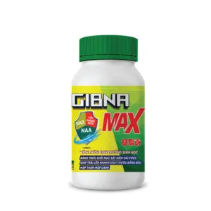 Sản phẩm GibnaMax 1 300x300 — Công Ty TNHH Sản Xuất Dịch Vụ Thương Mại Trung Hiệp Lợi — MST 0304864499
