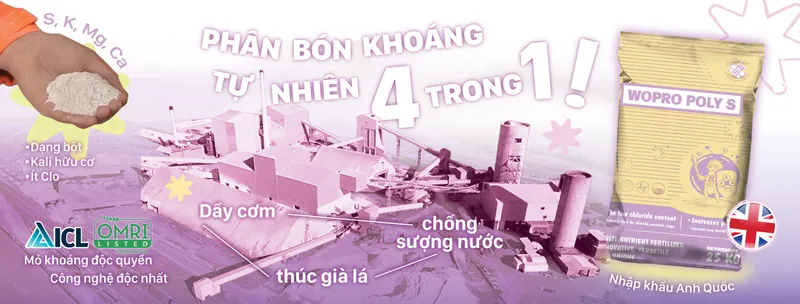 Sản phẩm web final scaled — Công Ty TNHH Sản Xuất Dịch Vụ Thương Mại Trung Hiệp Lợi — MST 0304864499