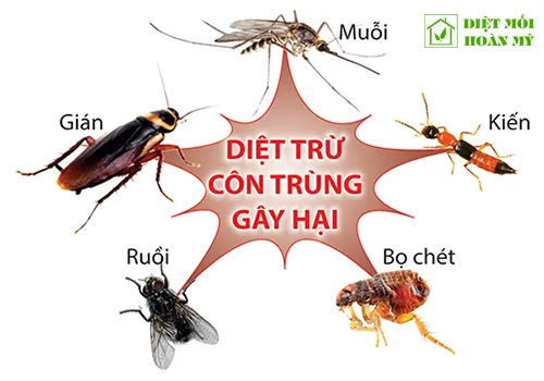 Sản phẩm dich vu diet con trung — Công Ty TNHH Sản Xuất Thương Mại Dịch Vụ Nhà Sạch Hoàn Mỹ — MST 0304870559
