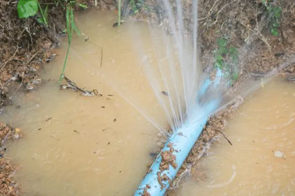 Sản phẩm LEAK — Công Ty TNHH Kỹ Thuật Và Thiết Bị Hoa Hồng — MST 0304887986
