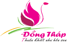 Sản phẩm dong thap — Truyền Thông Davicom - Công Ty CP Truyền Thông Đại Việt — MST 0304903123