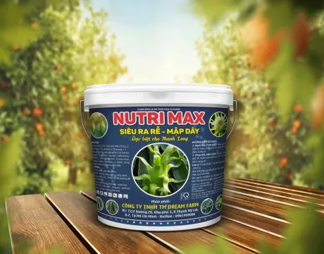 Sản phẩm 9df9b8608bc04f9e16d14 55570 — Bao Bì Nam Giang - Công Ty TNHH Bao Bì Nam Giang — MST 0304903130