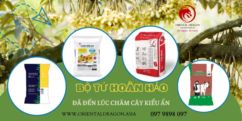 Sản phẩm 11207 — Công Ty Cổ Phần Xuất Nhập Khẩu Rồng Phương Đông — MST 0304935661