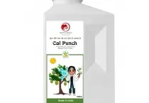Sản phẩm cal punch canxi bo bung hoa chac cuong chong rung trai non — Công Ty Cổ Phần Xuất Nhập Khẩu Rồng Phương Đông — MST 0304935661