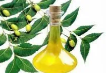 Sản phẩm dau neem tan trong nuoc thuoc bvtv huu co — Công Ty Cổ Phần Xuất Nhập Khẩu Rồng Phương Đông — MST 0304935661
