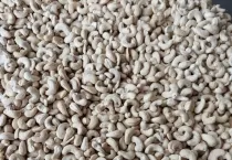 Sản phẩm hat dieu nhan viet nam — Công Ty Cổ Phần Xuất Nhập Khẩu Rồng Phương Đông — MST 0304935661