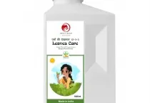 Sản phẩm leaves 1233 dam choi nay loc — Công Ty Cổ Phần Xuất Nhập Khẩu Rồng Phương Đông — MST 0304935661