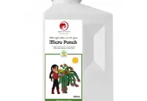 Sản phẩm micro punch trung vi luong hoa dep trai xinh 983 — Công Ty Cổ Phần Xuất Nhập Khẩu Rồng Phương Đông — MST 0304935661