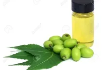 Sản phẩm neem oil 100 pure — Công Ty Cổ Phần Xuất Nhập Khẩu Rồng Phương Đông — MST 0304935661